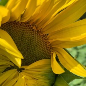 Meet your Posher, Liz